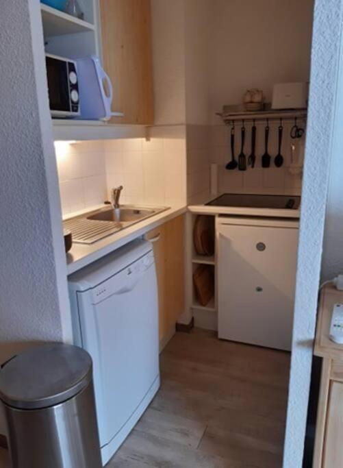 ולמינייה Spacieux Appartement 37M2-T3-Rdc-6 Personnes-100M Remontees מראה חיצוני תמונה